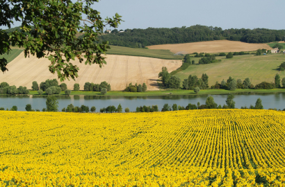 Paysage Gensac - G.Cassaro